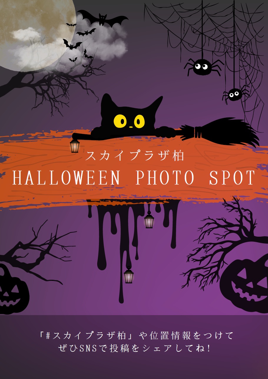 #スカイプラザ柏 でシェアお願いします！